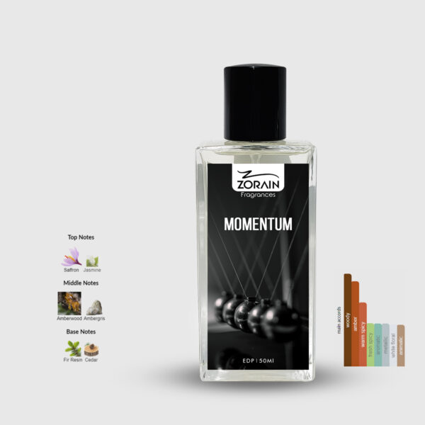 Momentum